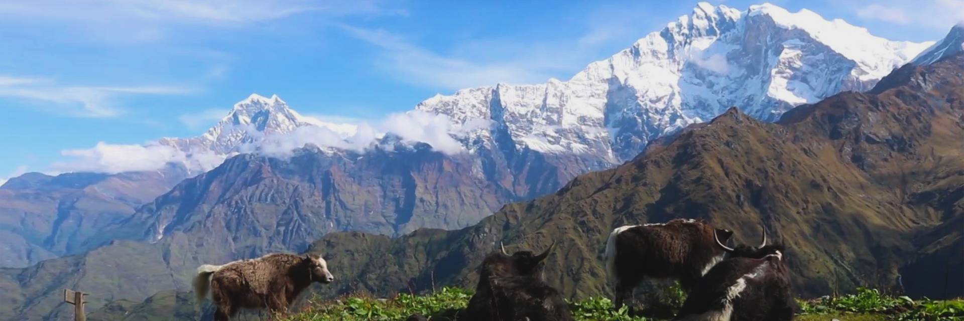 Khopra Danda Trek